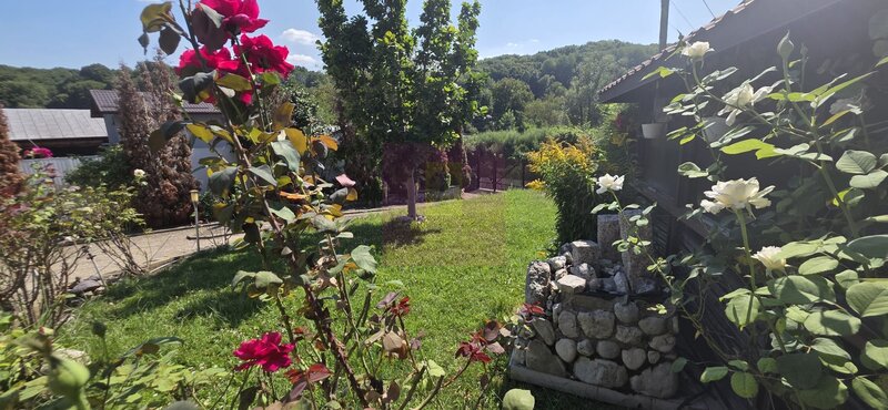 Casa 5 camere de vanzare in Mislea